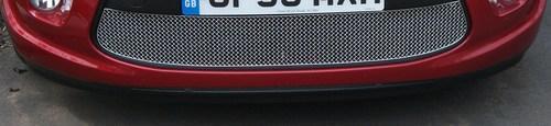 Zunsport Citroen C3 2009-2012 Front Stainless Steel Lower Grille