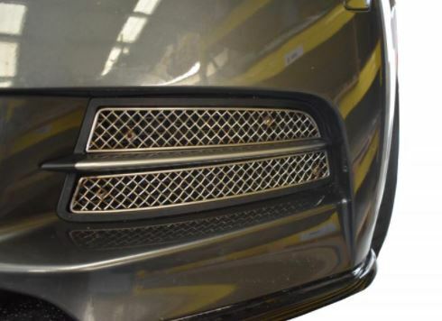 Zunsport BMW M135I - FRONT OUTER GRILLE SILVER 2012-2015