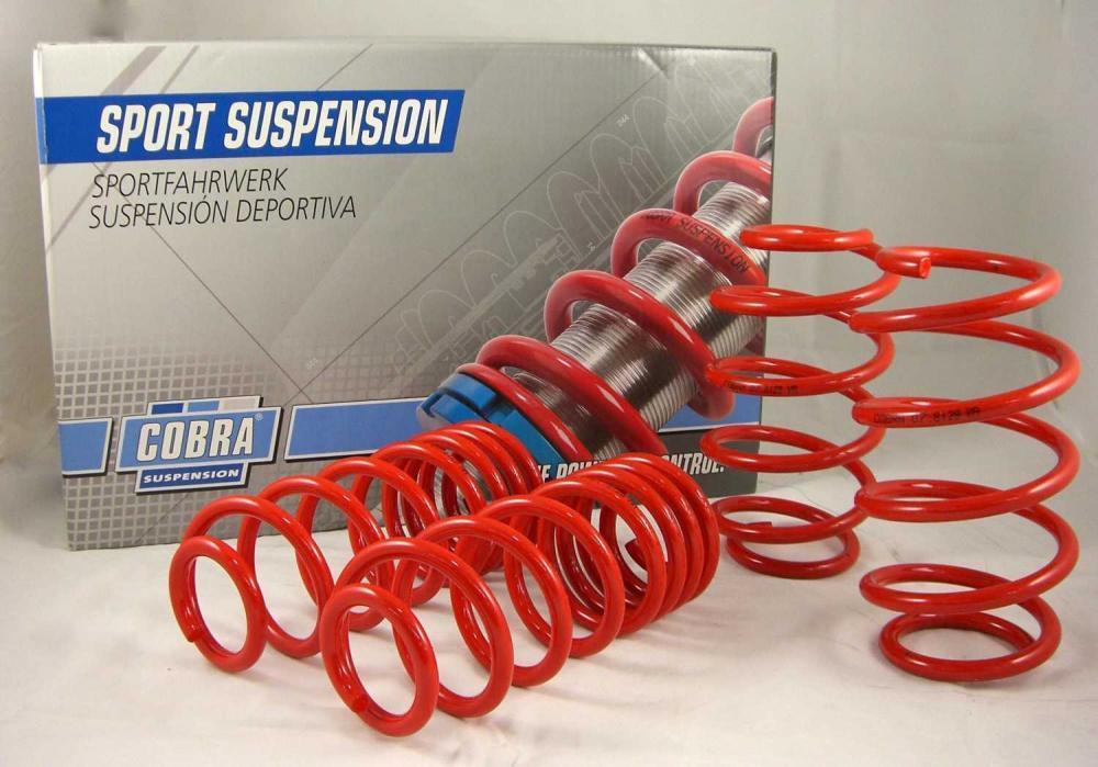 CobraSport Lowering Springs Ford Fiesta Mk6 45mm F / 45mm R