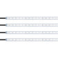 LED Ambient Car Underglow Kit by Autobeam - Standard Size