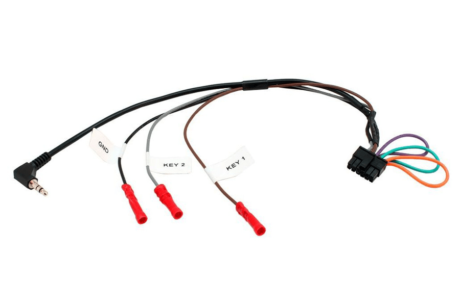 Ford EcoSport Double DIN Stereo Fitting Kit FK-946-SWITCH