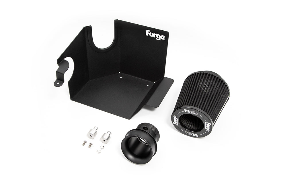 Ford Fiesta MK8 ST - Forge Induction Kit